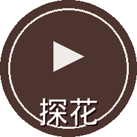 探花